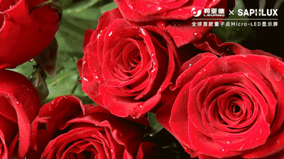 J9集团|J9九游国际